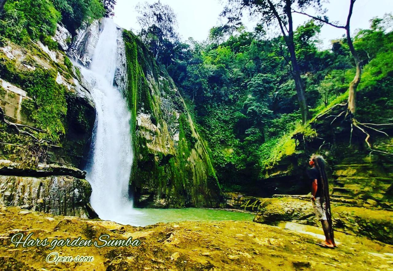 Hars Garden Sumba Hotel Waingapu Luaran gambar