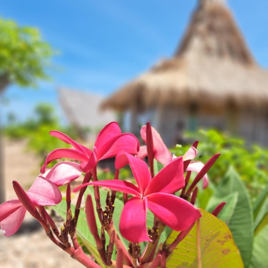 Hars Garden Sumba Hotel Waingapu Luaran gambar