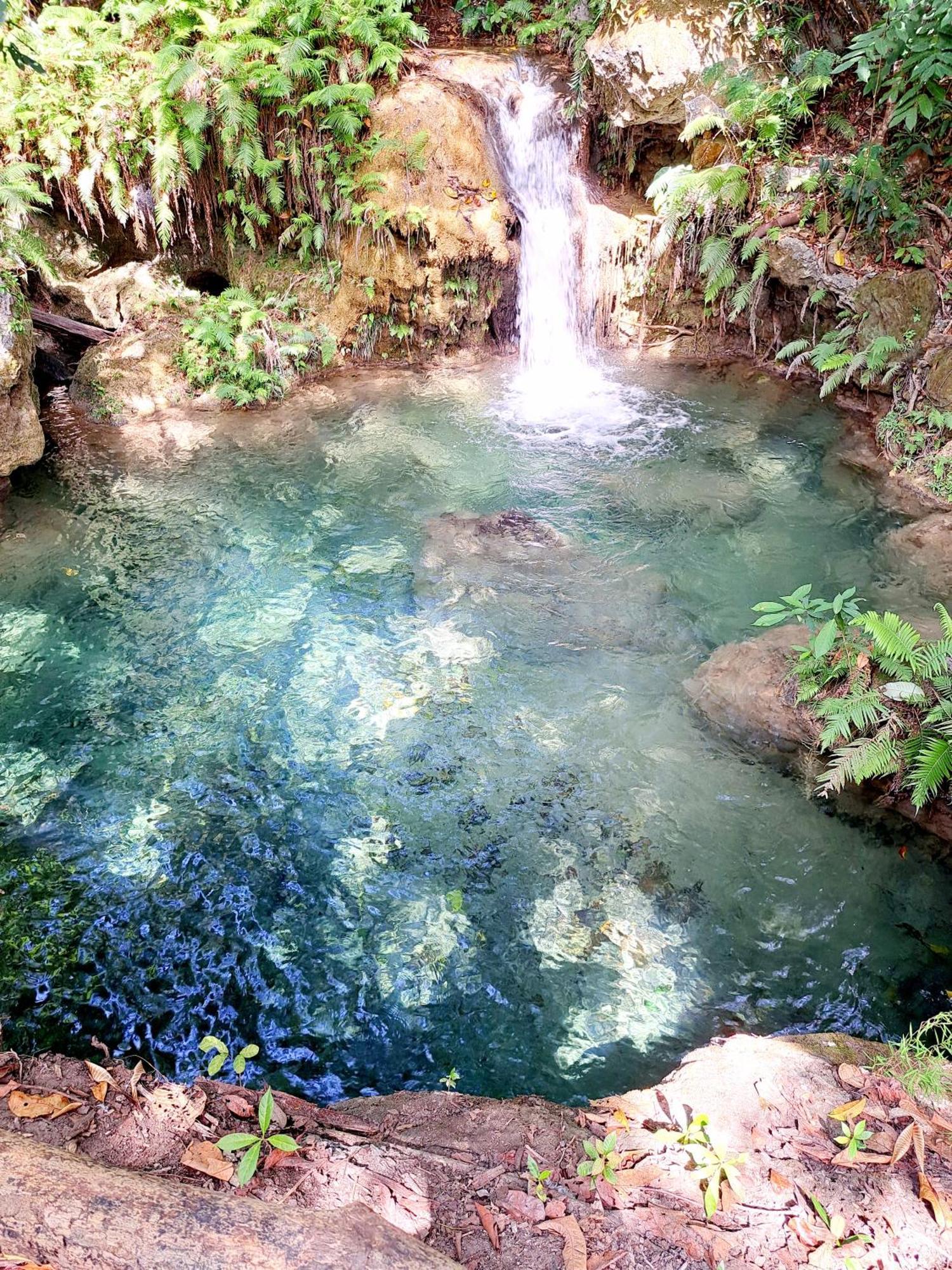 Hars Garden Sumba Hotel Waingapu Luaran gambar